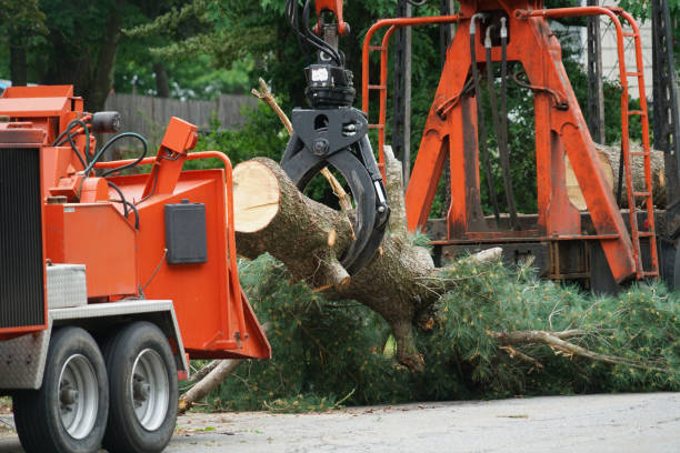 Best Lot and Land Clearing  in Rock Hill, MO